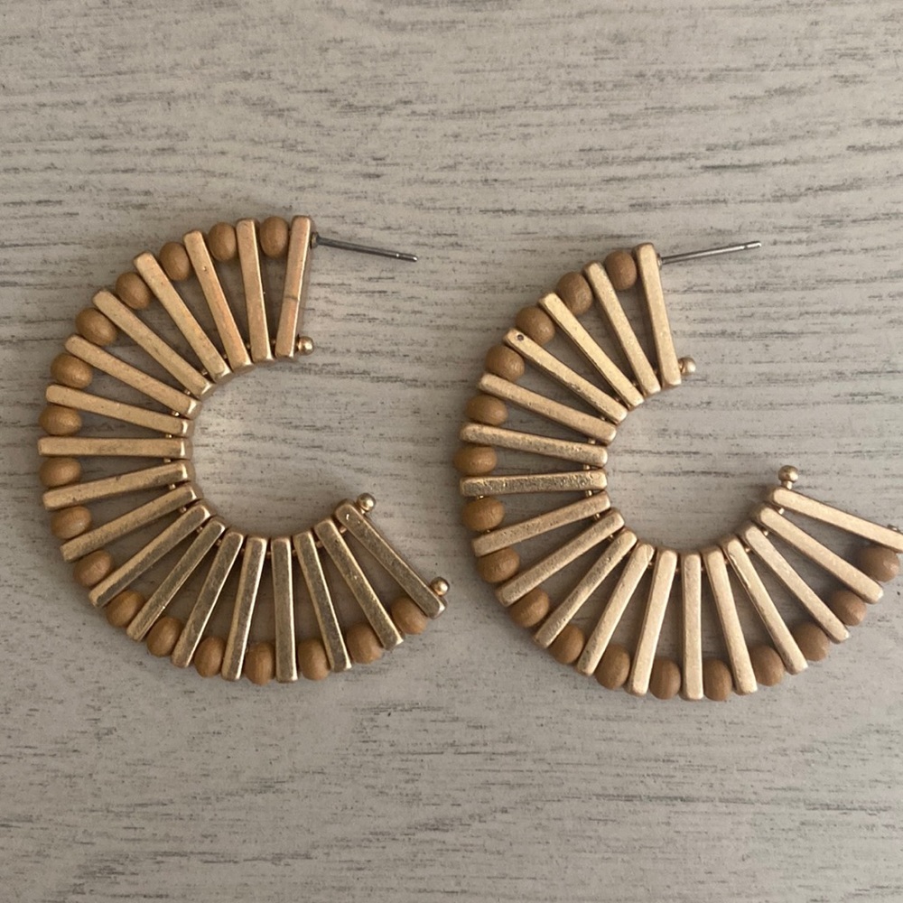 Earrings